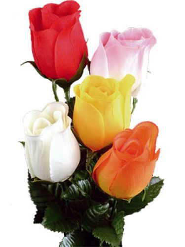 Floristik24 Rosa 72 unidades