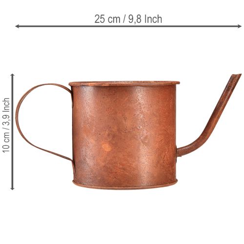 Itens Regador decorativo enferrujado, mini vaso de plantas, metal, Ø10cm, A9cm