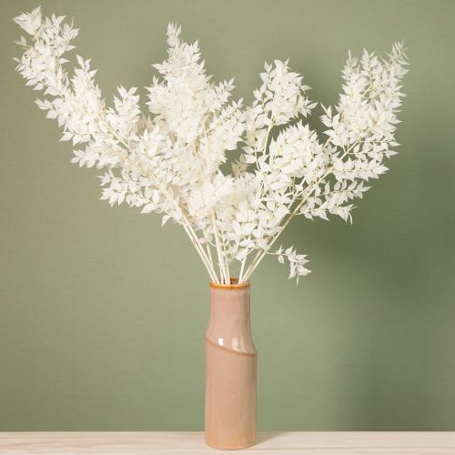 Itens Ramos de ruscus ramos decorativos flores secas branqueadas 10 unidades