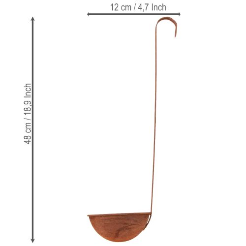 Itens Vaso para plantio, concha decorativa, acabamento em ferrugem, Ø12cm, 3 peças