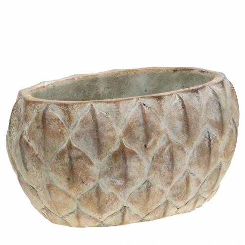 Floristik24 Plantador de concreto com motivo de folha oval de 23 cm