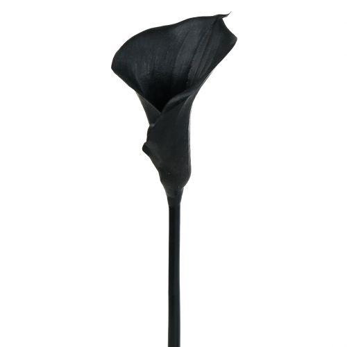 Floristik24 Deco Calla Preto 75cm