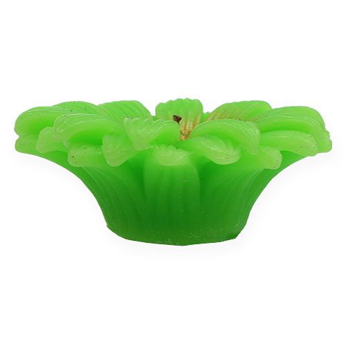 Floristik24 Vela flutuante gerbera verde Ø7,5cm
