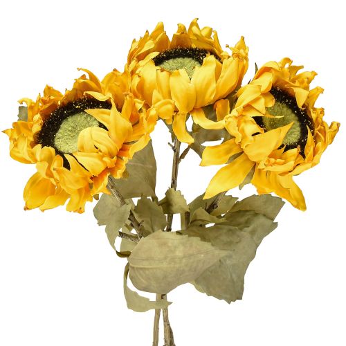 Floristik24 Girassóis artificiais, decoração de girassol, Drylook, C60cm, 3 peças