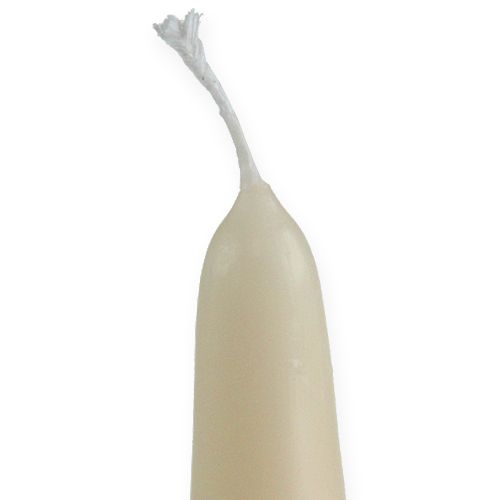 Floristik24 Vela pontiaguda 300/40 creme 8pcs