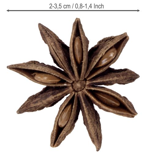 Itens Decoração de anis estrelado, itens artesanais, decoração natural, anis seco 500g