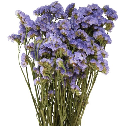 Floristik24 Mar Lilás Roxo Statice Limonium sinuatum Flores Secas 60cm 50g