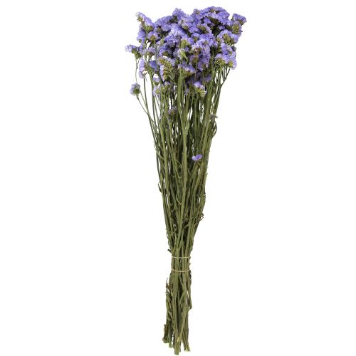 Floristik24 Mar Lilás Roxo Statice Limonium sinuatum Flores Secas 60cm 50g