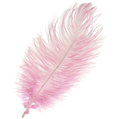 Itens Penas de Avestruz Penas Reais Decoração Rosa 20-25cm 12 un