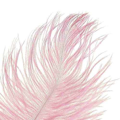 Itens Penas de Avestruz Penas Reais Decoração Rosa 20-25cm 12 un