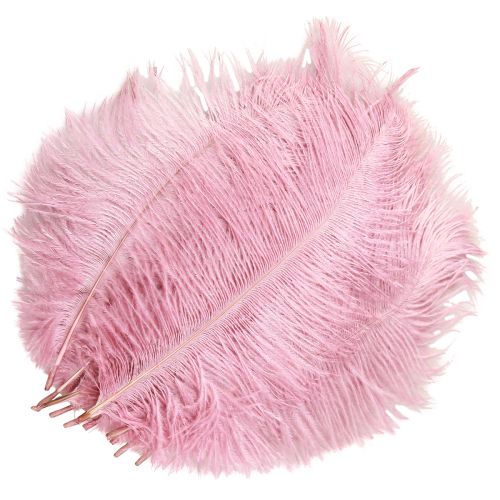Itens Penas de Avestruz Penas Reais Decoração Rosa 20-25cm 12 un