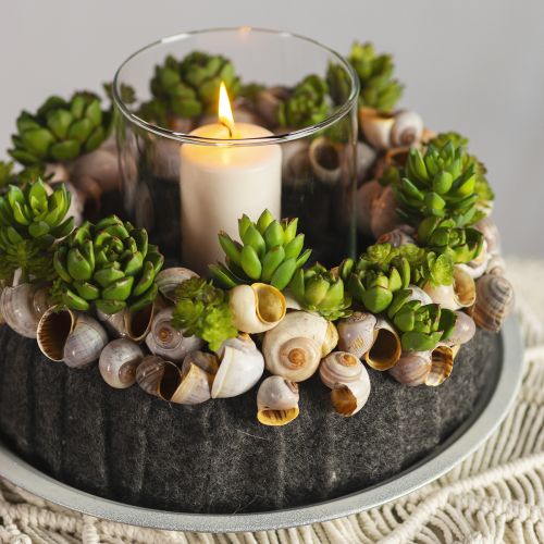 Floristik24 Suculenta Echeveria Planta Verde Artificial Verde Ø5,5cm 12,5cm