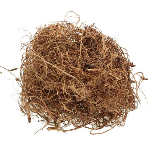 Floristik24 Fibra Deco Fibra de Tamarindo Natur material de artesanato fibra natural 500g