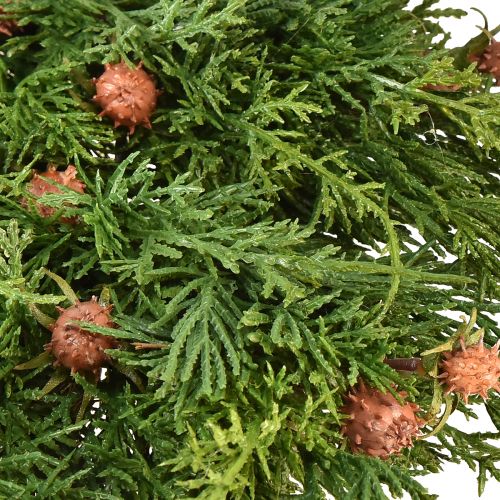 Floristik24 Coroa de abeto Thuja com base de botões coroa de videira Ø50cm