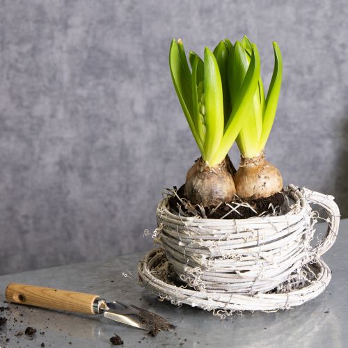 Itens Xícara de chá feita de material natural com charme rústico para decoração exclusiva de interiores, 13 cm.