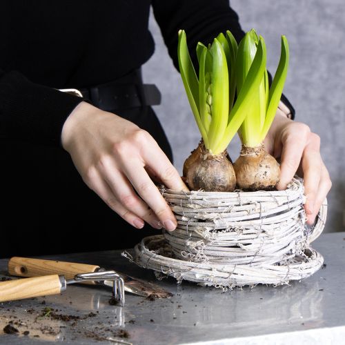 Itens Xícara de chá feita de material natural com charme rústico para decoração exclusiva de interiores, 13 cm.