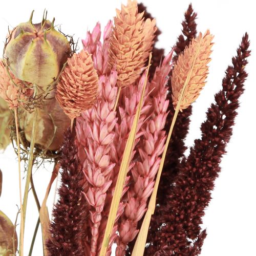 Floristik24 Buquê de flores secas grão Nigella rosa laranja 50cm