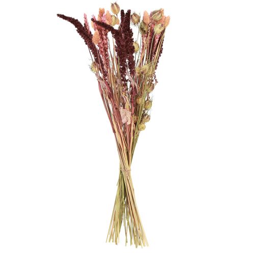 Floristik24 Buquê de flores secas grão Nigella rosa laranja 50cm