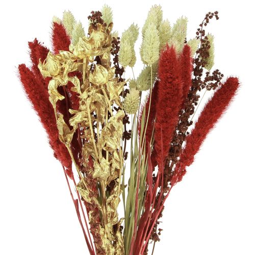 Floristik24 Buquê de flores secas Buquê seco de grãos ouro vermelho 50cm