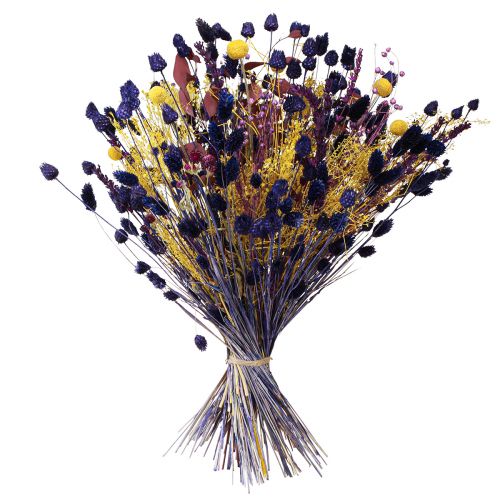 Itens Buquê seco amarelo roxo verde craspedia eucalipto 53cm 150g