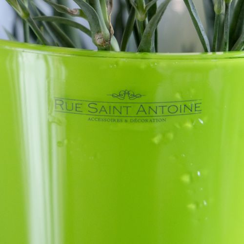 Itens Vaso Flor Verde Vaso Decorativo Oliva Efervescente Ø16,5cm H27cm