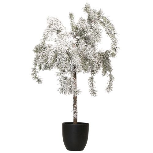 Floristik24 Árvore de cedro de natal em vaso com neve artificial Alt.85cm