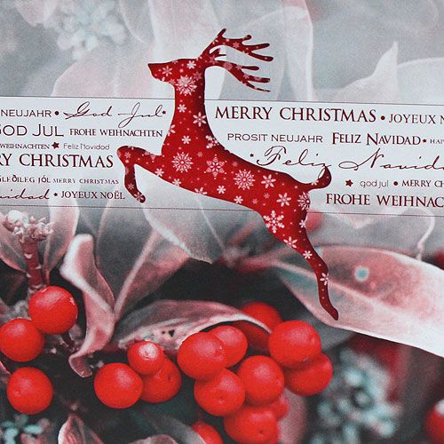 Floristik24 Cartões de Natal 12,5x12,5cm 6pcs