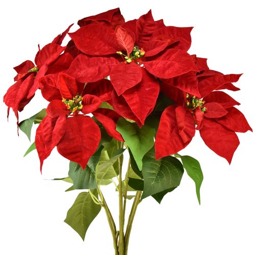 Itens Poinsétia Artificial Estrela de Natal Vermelho Verde L57cm