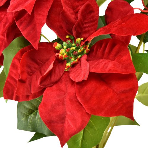 Itens Poinsétia Artificial Estrela de Natal Vermelho Verde L57cm