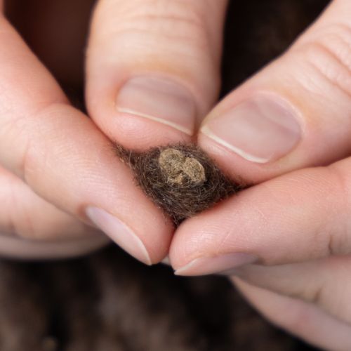 Itens Cordão de lã Mirabell macio, marrom, fita decorativa de 25m para arranjos florais e artesanato.