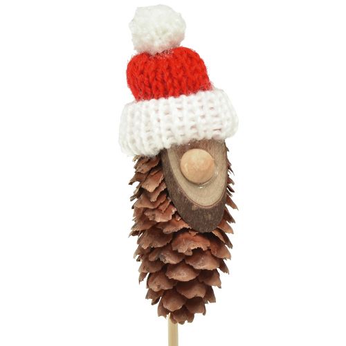 Floristik24 Cone gnomo com chapéu flor plug gnomo 8 cm 12 unidades