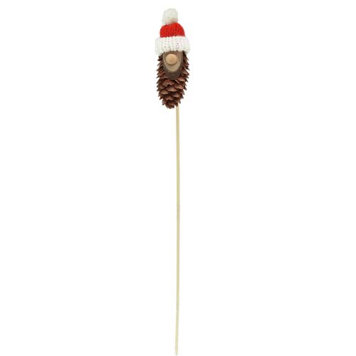 Floristik24 Cone gnomo com chapéu flor plug gnomo 8 cm 12 unidades