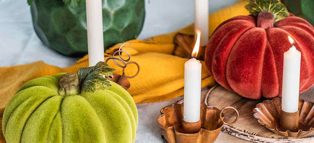 Decoração com abóbora e papagaio