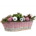 Floristik24 Conjunto de cesta de plantas de 2 ondas rosa, natureza