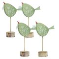 Floristik24 Decoração decorativa de mesa de pássaros decoração de madeira de Páscoa hortelã 18x13,5cm 4 peças