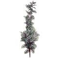 Floristik24 Planta suspensa artificial Zebra Herb Tradescantia 90cm