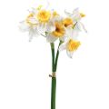 Floristik24 Narcisos artificiais flores de seda branca narcisos 40cm 3 unidades