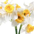 Floristik24 Narcisos artificiais flores de seda branca narcisos 40cm 3 unidades