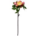 Floristik24 Peônias Flores de Seda Flores Artificiais Rosa Rosa 68cm