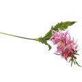 Floristik24 Flores artificiais, flores de seda decorativas lírio rosa 97cm