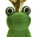Floristik24 Sapo decorativo, sapo príncipe, decoração de primavera, sapo com coroa dourada verde 40,5cm