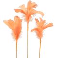 Floristik24 Penas decorativas penas de pássaros laranja em palito 36 cm 12 unidades
