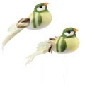 Floristik24 Pássaro de penas em arame pássaro decorativo com penas verde laranja 4 cm 12 unidades