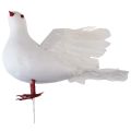 Floristik24 Pomba decorativa de decoração de casamento pomba branca decoração de pomba de casamento 17×23cm