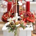Floristik24 Beija-flor, decorações para árvores de Natal, pássaros decorativos, decorações de Natal C 20 cm L 20 cm