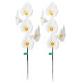 Copo-de-leite artificial com estames amarelos, flores decorativas, 35 cm, 10 peças | Floristik24.pt