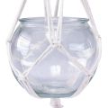 Floristik24 Vaso decorativo de vidro com cesto suspenso em macramê redondo Ø13,5cm
