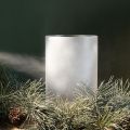 Spray decorativo Ice Flower Spray para janelas e decorações de inverno em vidro 150 ml | Floristik24.pt