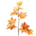 Floristik24 Ramo de bordo artificial para decoração de outono, 100 cm