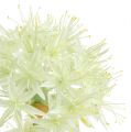 Floristik24 Allium creme branco L76cm